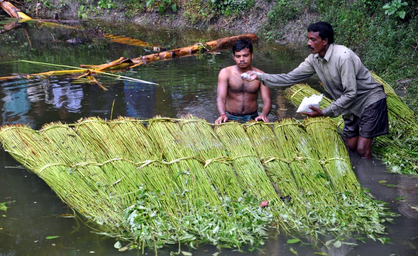 Jute Fibre. Jute fibre is a so-called “green” fibre…