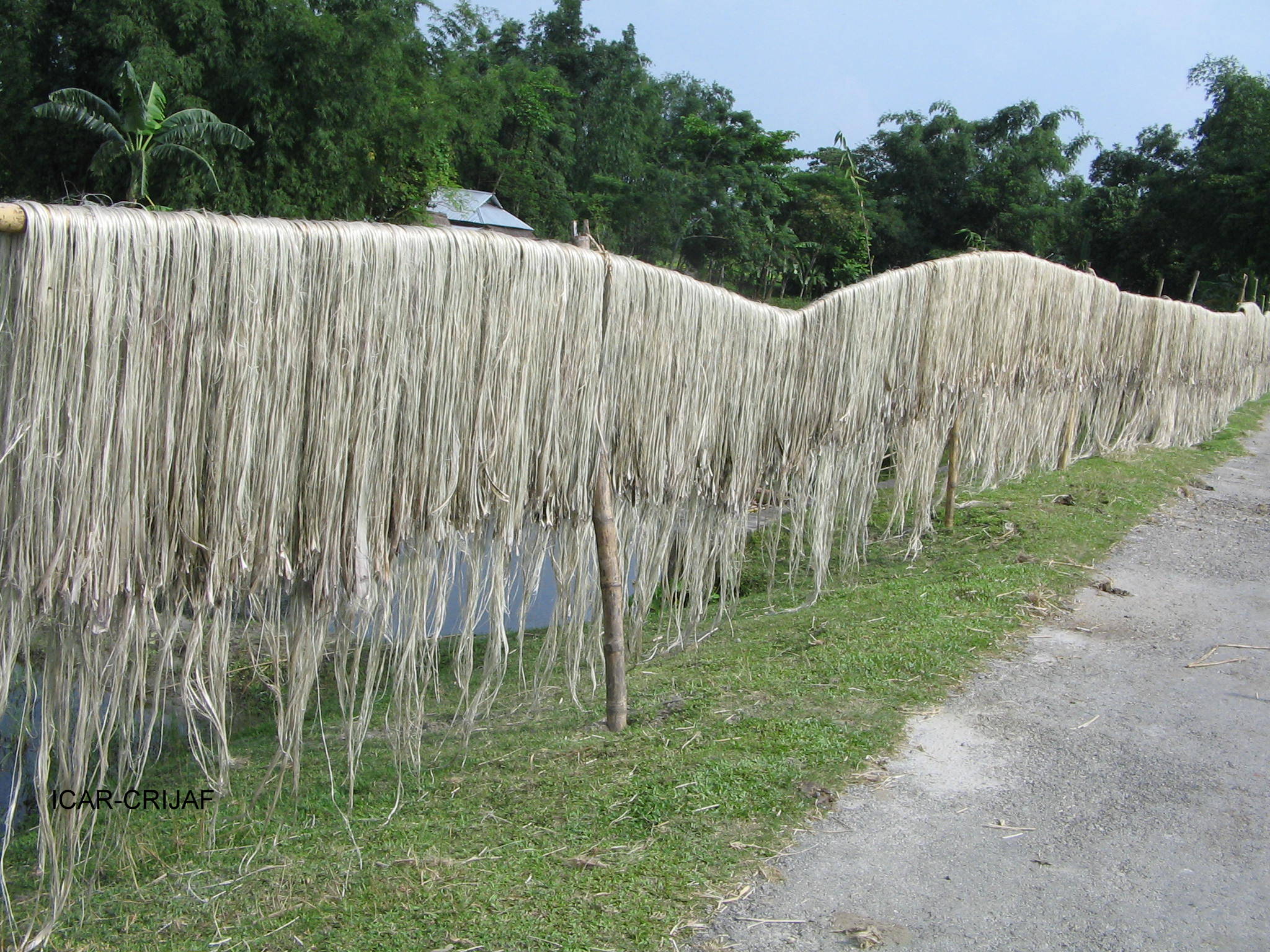 National Jute Board